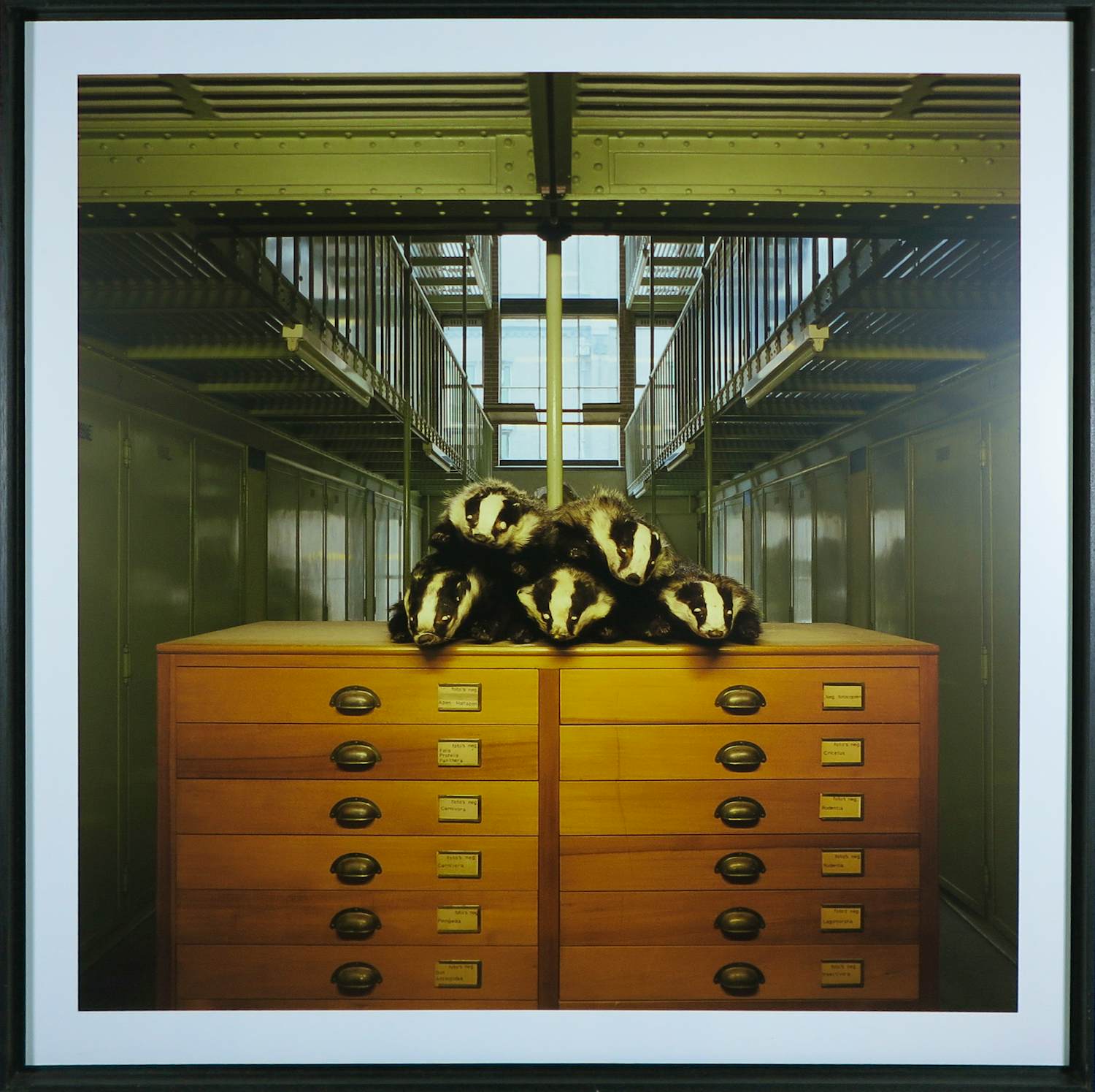 Paul den Hollander - Fotografie, Gernskantoor III - Ingelijst verkocht voor € 60!