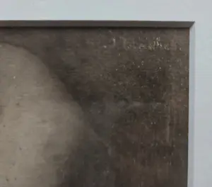 Jan Mankes - Uil op boomtak. Werk uit 1913. kopen? Bied vanaf 99!