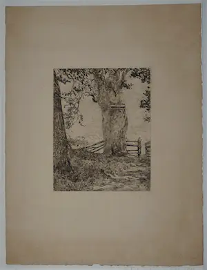 Willem de Zwart - Verboden toegang kopen? Bied vanaf 39!