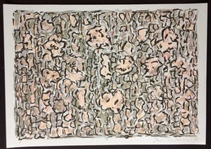 Jan Wolkers - zeefdruk uit 1993 - Winterbeelden. kopen? Bied vanaf 175!