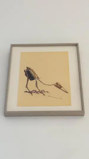 Panamarenko - Archaeopterix kopen? Bied vanaf 400!