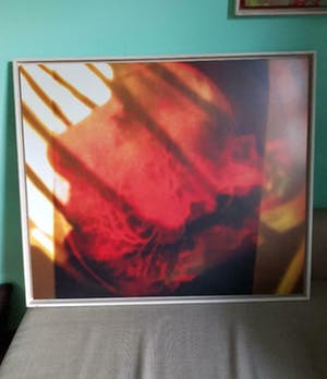 Phil van Wamel - Brainhair I. Mooie grote foto in houten baklijst. kopen? Bied vanaf 1!