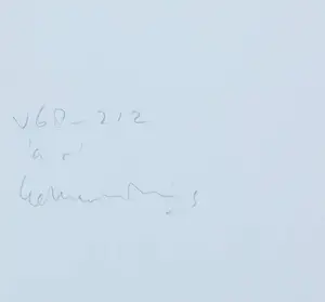 herman de vries - Uniek werk op grafisch papier, "a.r." v68-212 kopen? Bied vanaf 1!