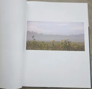 Marc Mulders - Secret Garden (gesigneerd en met originele tekening) kopen? Bied vanaf 70!