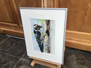 Niet of onleesbaar gesigneerd - Specht kopen? Bied vanaf 1!