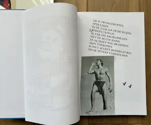 Herman Brood - Woedend Licht kopen? Bied vanaf 150!