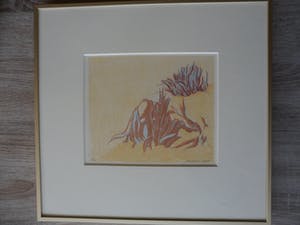 Jan Hein van Rooy - Litho, Plant Agave kopen? Bied vanaf 25!