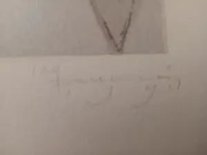 Jan Scheir - The frail, frail grass of home. kopen? Bied vanaf 300!