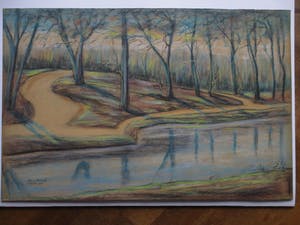 Romke faber - Bosgezicht bij vijver - Pastel kopen? Bied vanaf 70!