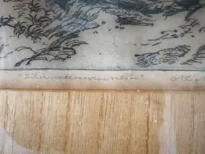 Antonius Cornelis Ninaber van Eyben - Zilvermeeuwennest kopen? Bied vanaf 59!