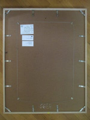 Joost Minnigh - Grote ingelijste litho "Amaryllis met spiegelbeeld" perfect ingelijst kopen? Bied vanaf 80!