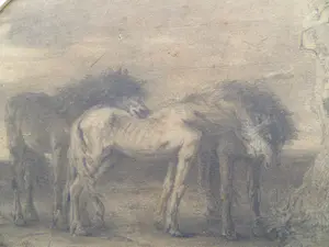 Frederik Willem Zurcher - Paarden in de wei kopen? Bied vanaf 40!