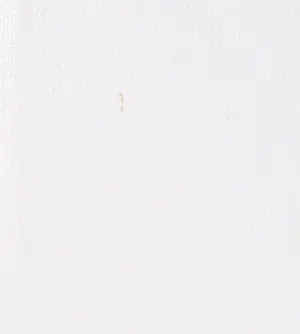 Henk Klinkhamer - Acryl op doek, Street artist (Groot) kopen? Bied vanaf 150!