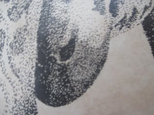 Niet of onleesbaar gesigneerd - Twee giraffen kopen? Bied vanaf 10!