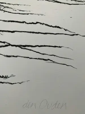 Willem den Ouden - litho De Waal 1991 nummer V/X kopen? Bied vanaf 79!