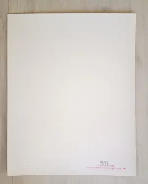 George Barris - Marilyn Monroe "Last Shoot" 25 Anniversary (Set -7 Fotographien) - Auflage 99 kopen? Bied vanaf 3900!