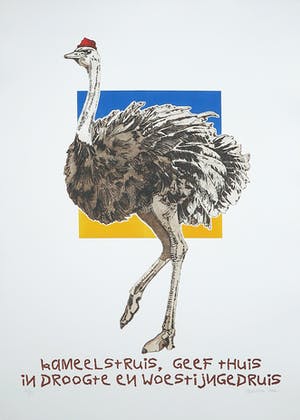 Els Maasson - Ets, Kameelstruis kopen? Bied vanaf 1!