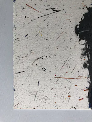 Rik van Iersel - Storyteller I en Storyteller II - Set Kleurenlithos in Nieuwstaat kopen? Bied vanaf 10!