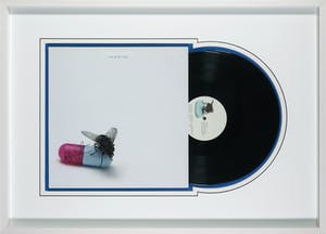 Damien Hirst - Gesigneerde LP-hoes, Red Hot Chili Peppers album: I'm with you - Ingelijst kopen? Bied vanaf 1!