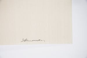 Jeroen Henneman - Koningin Beatrix, gesigneerde zeefdruk in 5 drukgangen, 2001 kopen? Bied vanaf 140!