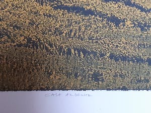 Elmar Gille - Casa Ardente kopen? Bied vanaf 295!