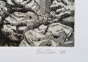 Tiny van der Sar - Azalea-Geraniumkas, aquatint ets kopen? Bied vanaf 40!