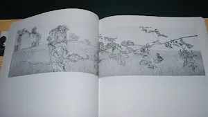 Reinder Homan - hardcover: etsen naar de natuur (schaars) & gids 1989 kopen? Bied vanaf 65!