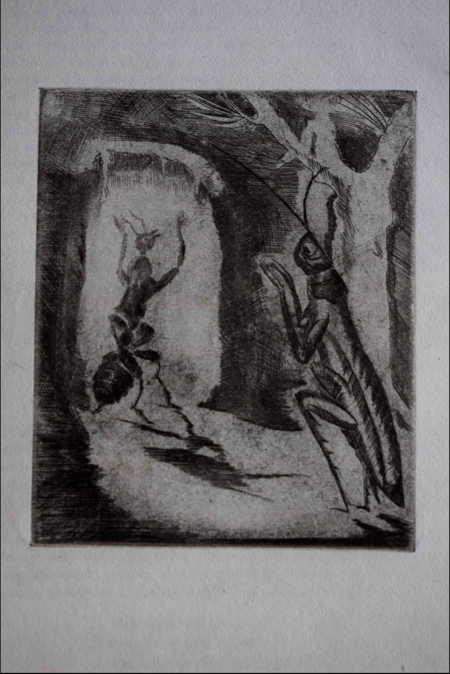 Jeanne Bieruma Oosting - Ets - De Mier en de Krekel verkocht voor € 30!