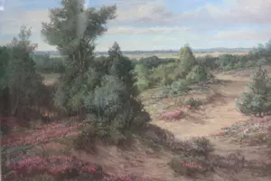 Jan de Boer - Het Vossenzand bij Kootwijk op de Veluwe kopen? Bied vanaf 55!