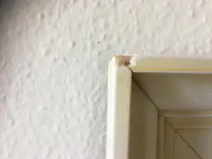 Jan Bevort - Mediterraans kustgezicht kopen? Bied vanaf 50!