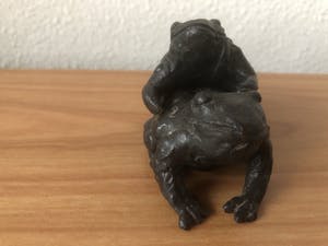 Brons (Onbekend) - Prachtig beeldje van 2 kikkers / kunnen ook apart kopen? Bied vanaf 35!