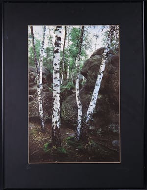 Paul Huf - Foto, Zonder titel - Ingelijst kopen? Bied vanaf 1!