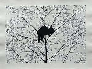 Buy Toni Schneiders - Katze im Baum? Bid from 50!