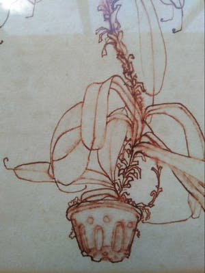 Niet of onleesbaar gesigneerd - Z.T. ''Botanische tekening, in rode inkt.'' Gallerie Oud Ambacht, Muck Douma. kopen? Bied vanaf 1!