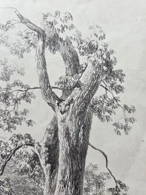 Barend Cornelis Koekkoek - Bomen. Litho. kaufen? Bieten Sie von 20!