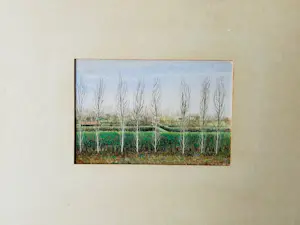 Hilmar Schäfer - De tuinen kopen? Bied vanaf 10!