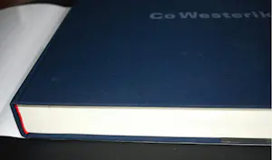 Co Westerik - monumentaal boek (cat. raisonné schilderijen) & extra boek kopen? Bied vanaf 60!