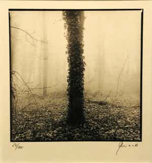 Ralph Janowski - zonder titel met lijst! verkocht voor € 115!