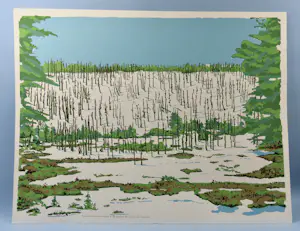 AcheterEgbert de Bock - Yellowstone Park USA - Acid Rain? Enchérissez de 30!