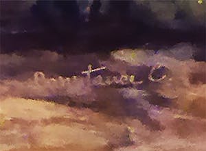 Constance Coleman Richardson - sakoera (?) bloesembomen kopen? Bied vanaf 60!