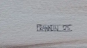 Franklin Meijer - Texel - Strand kopen? Bied vanaf 85!