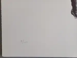 Armando - Geit –gesigneerde litho kopen? Bied vanaf 325!