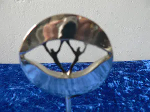 Corry Ammerlaan - Met het oog op de goede samenwerking kopen? Bied vanaf 15!