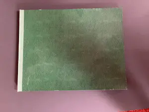 Ad Snelders - Een vlot voor Thor kopen? Bied vanaf 35!