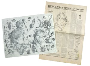 Dirkje Kuik - Litho, Winkelmansplantage + Uitgave Het Geïllustreerde Zwijn kopen? Bied vanaf 35!