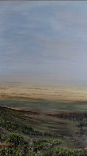 Joost Erftemeijer - Landschap kopen? Bied vanaf 80!