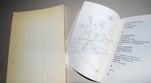 Lucebert - Jan Elburg, Bert Schierbeek: 7 boekwerken beeldende- en dichtkunst kopen? Bied vanaf 65!