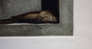 Jean Paul Vroom - Ingekleurde ets 'Vogel in nis' (1951) kopen? Bied vanaf 80!