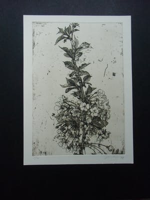 Jan Prins - BLOESEMTAK kopen? Bied vanaf 30!