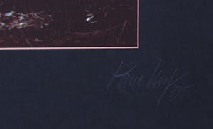 Paul Huf - Foto, Bosgezicht - Ingelijst kopen? Bied vanaf 1!